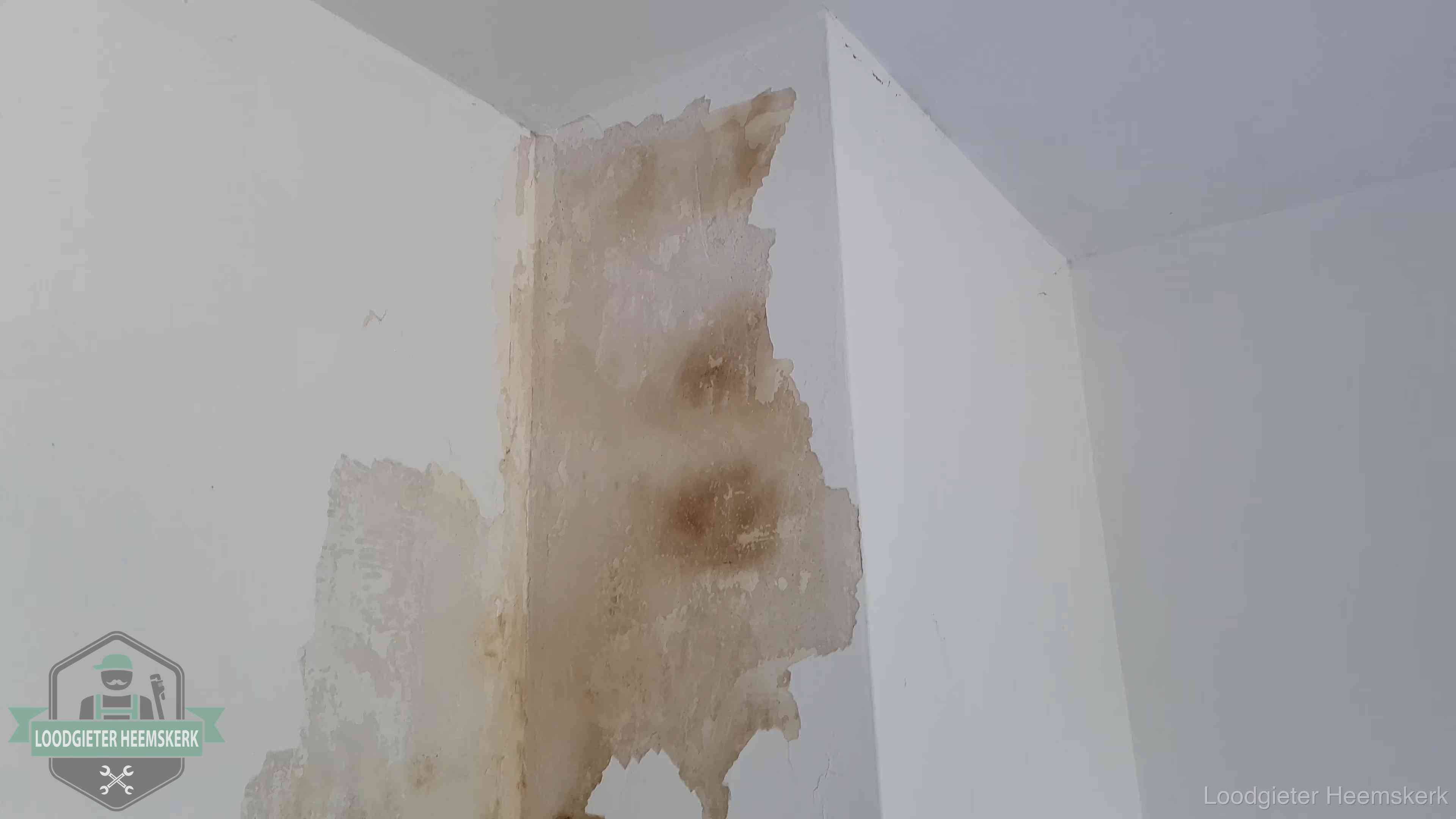 Bruine vochtkringen en afbladderend stucwerk op een binnenmuur in Heemskerk, een eerste teken van daklekkage
