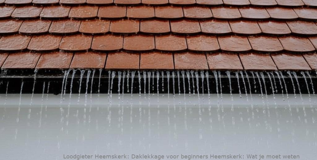 Daklekkage Voor Beginners Heemskerk
