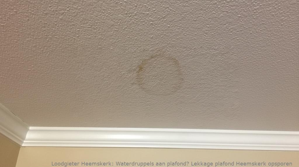 Lekkage Plafond Heemskerk