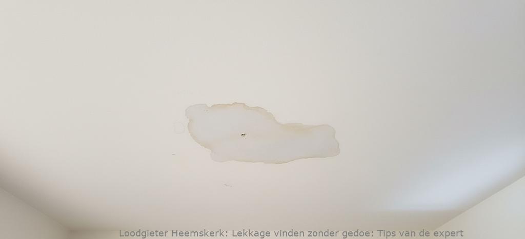 Lekkage Vinden Heemskerk