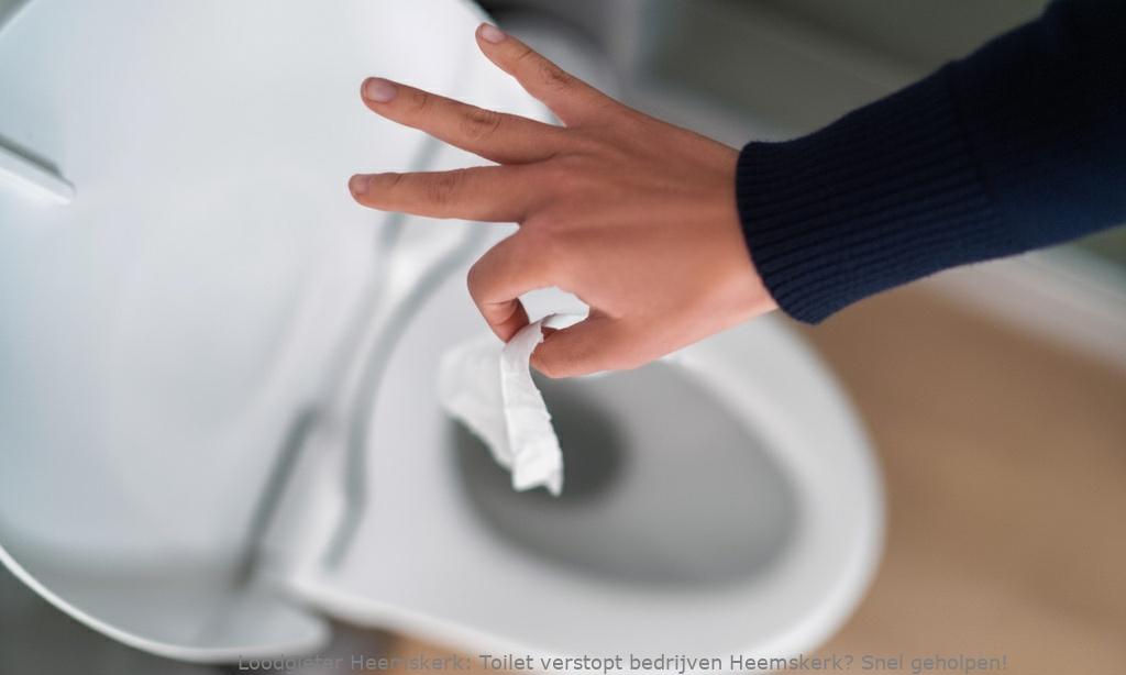 Toilet Verstopt Bedrijven Heemskerk